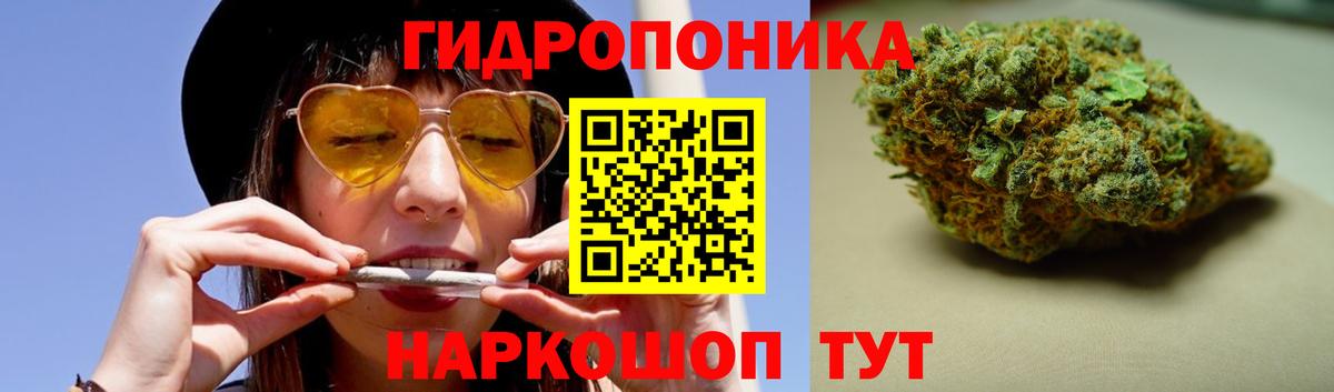 Бошки марихуана OG Kush Лениногорск